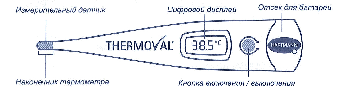 http://www.mystoma.ru/published/publicdata/WWWMYSTOMAORGWEBASYST/attachments/SC/images/00000.jpg