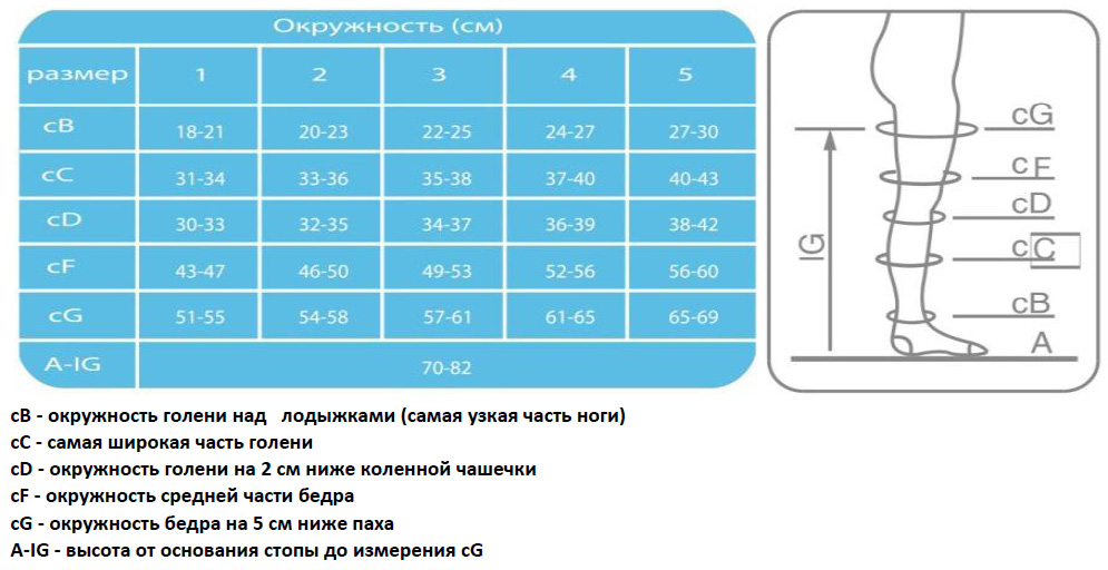 ergoforma-eu-212-sizes