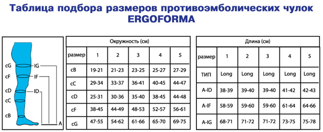 ergoforma_razm.jpg