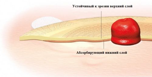 сен шура-1