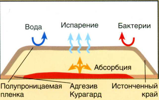 вкапе